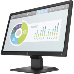 HP P204v 19.5'' Monitor