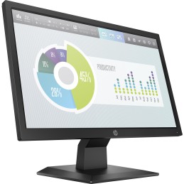 HP P204v 19.5'' Monitor