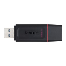 Kingston Technology DataTraveler Drive Flash USB 3.2 - USB ® Exodia