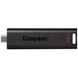 Kingston Technology DataTraveler 256GB Max 1000R 900W USB 3.2 Gen 2