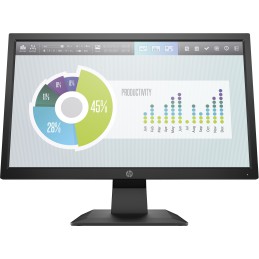 HP P204v 19.5'' Monitor