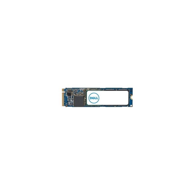 DELL AC037411 drives allo stato solido 4 TB M.2 PCI Express 4.0 NVMe DELL AC037411 drives allo stato solido 4 TB M.2 PCI Express 4.0 NVMe
