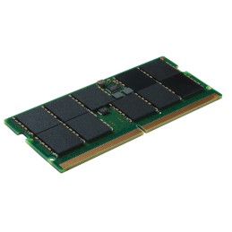 Kingston Technology KSM48T40BS8KI-16HA memoria 16 GB 1 x 16 GB DDR5 4800 MT s Data Integrity Check (verifica integrità dati)